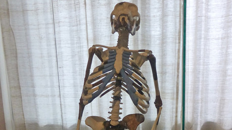 Lucy, l’australopithèque légendaire, exposée pour la première fois en Europe