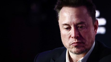 Elon Musk : l'Europe pourrait «disparaître» si elle ne résout pas ses problèmes démographiques