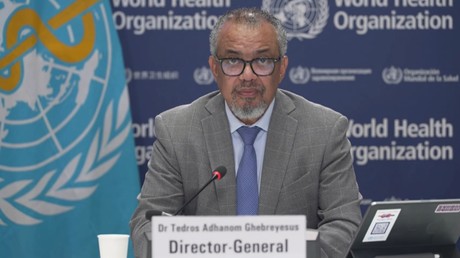 La famine à Gaza est une catastrophe qu’Israël pourrait arrêter à tout moment selon le directeur de l'OMS