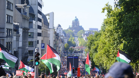 Bruxelles : une marée rouge défile pour la Palestine