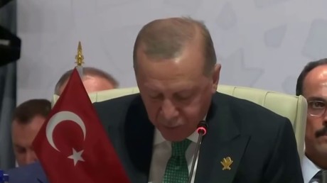 Erdogan appelle à traduire les responsables israéliens en justice conformément au droit international
