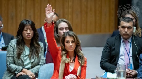 Conseil de sécurité de l’ONU : l’Algérie dénonce un nouvel échec face au génocide à Gaza
