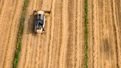 Maroc : 147 millions de dollars de produits agricoles russes importés en huit mois