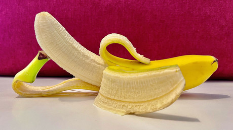 La Russie commence à cultiver ses propres bananes