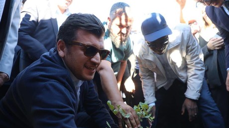 Algérie : un million d’arbres plantés en une journée pour sauver les forêts