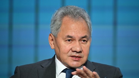 Choïgou : «Ceux qui doutaient des Bourévestnik et Poséidon en 2018 doivent désormais y croire»