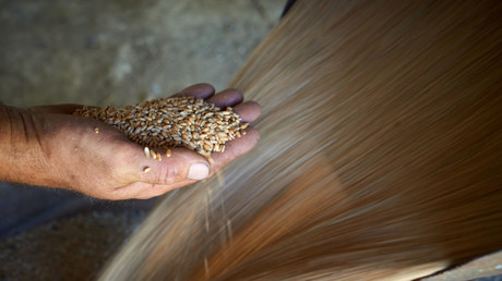 Les exportations françaises de blé pâtissent de la crise diplomatique entre Paris et Alger