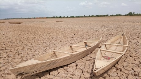 Plus de 122 millions de personnes en Afrique de l’Ouest exposées à l’eau insalubre à cause de la déforestation