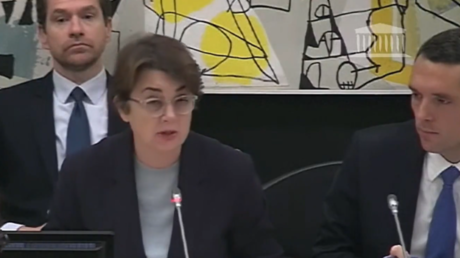 Laurence des Cars se justifie du vol commis au Louvre devant les députés