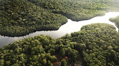 France : les grandes banques pointées du doigt pour leur rôle dans la déforestation au Brésil