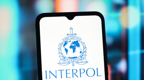 Interpol : la France revient sur le devant de la scène après dix ans d’absence