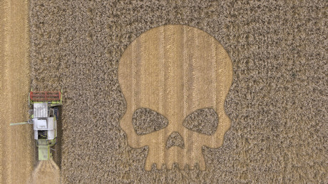 Quand les pesticides interdits en Europe empoisonnent les terres nigérianes