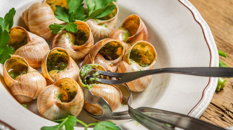 Alerte rouge avant Noël : la gendarmerie française mobilise ses forces... pour sécuriser des huîtres et des escargots