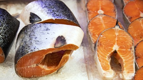 Euractiv : l’UE a acheté pour 709 millions d’euros de produits de la mer russes en 2024, malgré les sanctions