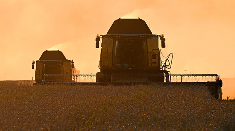 Céréales : les exportations russes vers le Maroc multipliées par 2,7 entre le 1er et le 20 décembre