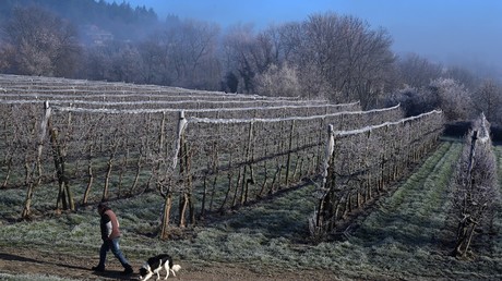 Isolement en France : les ruraux plus isolés, mais les urbains plus touchés émotionnellement