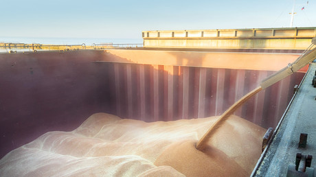 Le Maroc réceptionne une part majeure des céréales russes exportées via la Baltique