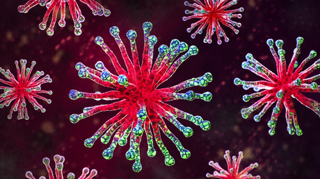 Nipah, un virus mortel sans remède : cinq contaminations confirmées en Inde