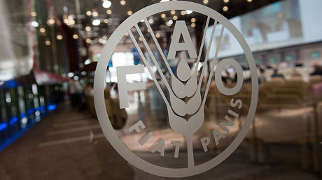 Afrique de l’Ouest : plus de 52 millions de personnes menacées par l’insécurité alimentaire aiguë, selon la FAO