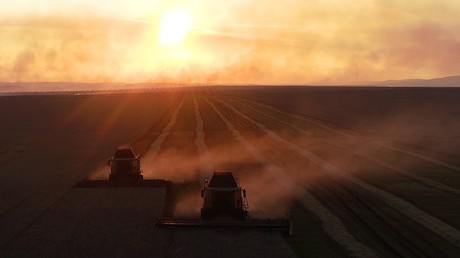 Blé russe : près de 80 % des exportations vers l’Afrique et le Moyen-Orient