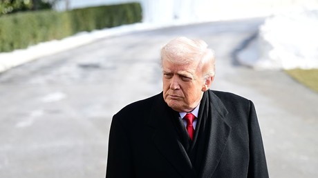 Trump : «J'ai personnellement demandé à Poutine de suspendre les frappes contre l'Ukraine pendant une semaine en raison du froid»