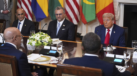 Minerais critiques : Trump réunit des dirigeants africains à Washington le 4 février