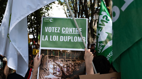 Des manifestations contre la loi Duplomb organisées partout en France ce week-end