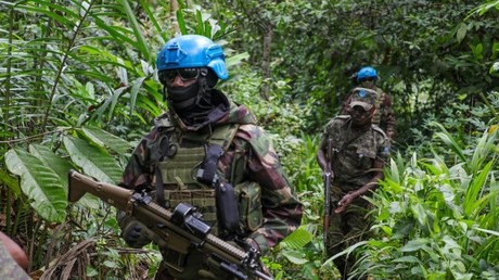 Afrique du Sud : Pretoria retire ses soldats de la Monusco en RDC
