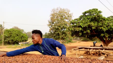Ghana : les acheteurs de cacao étranglés par une dette de 750 millions de dollars