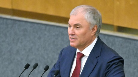 «Jusqu'au milieu du XXe siècle, les territoires africains étaient des colonies des pays européens», rappelle Volodine à Kallas, après ses propos sur les attaques russes contre l’Afrique