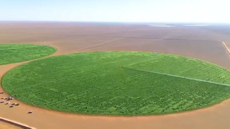 Le projet de mégaferme Baladna prend forme dans le désert algérien