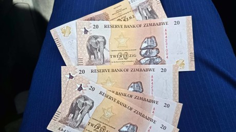 Zimbabwe : de nouveaux billets pour relancer la confiance dans la monnaie locale