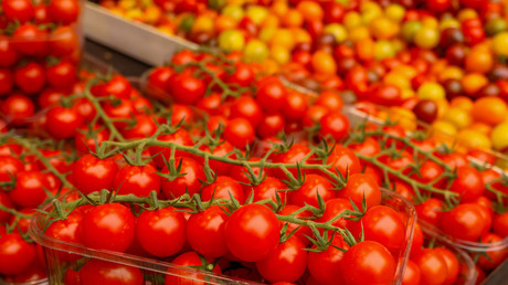 Les producteurs français déclarent la guerre à l’hégémonie de la tomate cerise marocaine