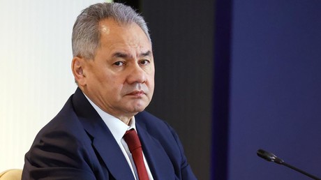 Choïgou rappelle le droit de la Russie à la légitime défense face aux frappes de drones lancées depuis les pays baltes