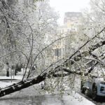 Arbres déracinés et verglas : Moscou subit une tempête de neige sans précédent en avril (VIDÉOS)