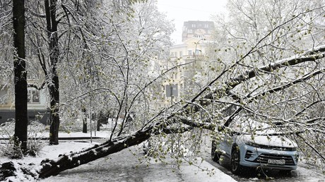 Arbres déracinés et verglas : Moscou subit une tempête de neige sans précédent en avril (VIDÉOS)