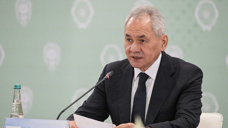 « Kiev alimente la menace terroriste en Afrique », affirme Sergueï Choïgou