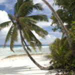 La bataille autour des îles Chagos prend une nouvelle dimension avec l'intérêt affiché de Washington