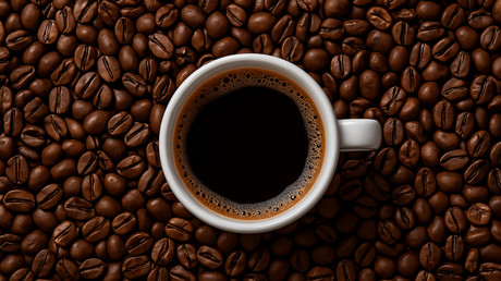 «Du poison dans votre café» : un rapport de Coffee Watch alerte sur l’usage massif de pesticides hautement toxiques
