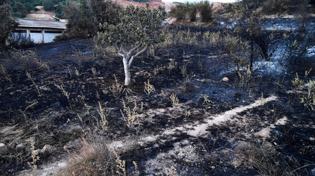 Algérie : sept suspects écroués pour des incendies de forêt