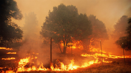 L’Espagne perd jusqu’à 30% de ses capacités de lutte contre les incendies sans les hélicoptères russes Kamov