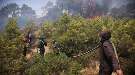 Algérie : les incendies enfin maîtrisés après vingt jours de lutte