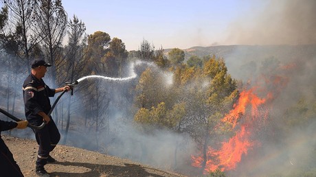 Algérie : les feux de forêt reprennent après seulement deux jours d’accalmie